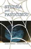 Studňa pod pavučinou Studňa pod pavučinou