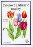 Cibulové a hlíznaté rostliny Cibulové a hlíznaté rostliny