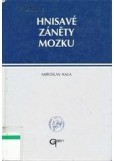 Hnisané záněty mozku Hnisané záněty mozku