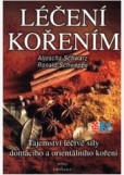Léčení kořením Léčení kořením