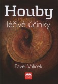 Houby a jejich léčivé účinky Houby a jejich léčivé účinky