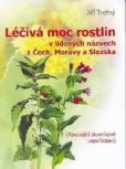 Léčivá moc rostlin v lidových názvech Léčivá moc rostlin v lidových názvech