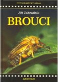 Brouci Fotografický atlas