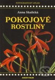 Pokojové rostliny Pokojové rostliny