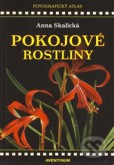 Pokojové rostliny