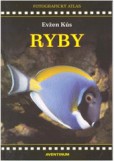 Ryby Ryby