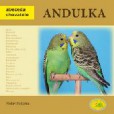 Andulka