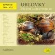 Oblovky plži čeledi achatinidae Oblovky plži čeledi achatinidae