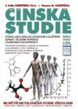 Čínská studie Čínská studie