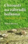 Chrousti na zábradlí balkónu Chrousti na zábradlí balkónu