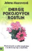 Energie pokojových rostlin Energie pokojových rostlin