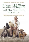 Čo ma naučila svorka Čo ma naučila svorka