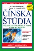 Čínska štúdia Čínska štúdia