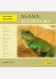 Agama kočinčinská Agama kočinčinská