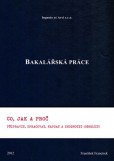 Bakalářská práce Bakalářská práce