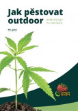 Jak pěstovat outdoor Jak pěstovat outdoor