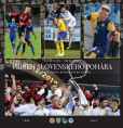 Príbeh Slovenského pohára Príbeh Slovenského pohára