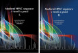 Moderní HPLC separace v teorii a praxi I.,II. (Komplet) Moderní HPLC separace v teorii a praxi I.,II. (Komplet)