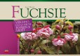 Fuchsie Fuchsie
