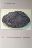 Obilie v archeobotanických nálezoch na Slovensku