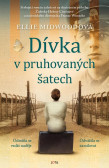 Dívka v pruhovaných šatech Dívka v pruhovaných šatech