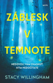 Záblesk v temnote