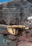 What’s wrong? What’s wrong?