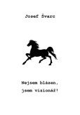 Nejsem blázen, jsem vizionář! Nejsem blázen, jsem vizionář!