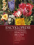 Encyklopedie tulipánů, hyacintů, begonií Encyklopedie tulipánů, hyacintů, begonií
