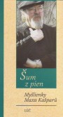Šum z pien