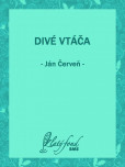 Divé vtáča Divé vtáča