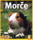 Morče Morče