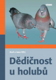 Dědičnost u holubů Dědičnost u holubů
