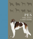 Pes Pes