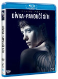 Dívka v pavoučí síti -BD Dívka v pavoučí síti -BD