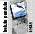 Cesta - CD Cesta - CD