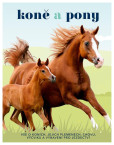 Koně a pony - Vše o koních, jejich plemenech, chovu, výcviku a vybavení pro jezdectví