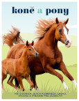 Koně a pony - Vše o koních, jejich plemenech, chovu, výcviku a vybavení pro jezdectví Koně a pony - Vše o koních, jejich plemenech, chovu, výcviku a vybavení pro jezdectví
