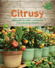 Citrusy Citrusy