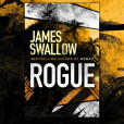 Rogue Rogue