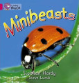 Minibeasts Minibeasts