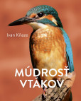 Múdrosť vtákov Múdrosť vtákov