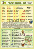 Nemecké číslovky / Numeralien Nemecké číslovky / Numeralien