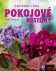Pokojové rostliny Pokojové rostliny