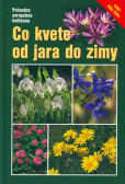 Co kvete od jara do zimy Co kvete od jara do zimy