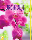 Orchideje – exoty pro snadné pěstování v bytě Orchideje – exoty pro snadné pěstování v bytě