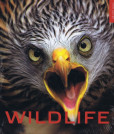 Wildlife - život zveri vo voľnej prírode Wildlife - život zveri vo voľnej prírode