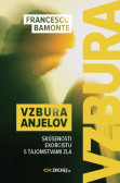 Vzbura anjelov Vzbura anjelov