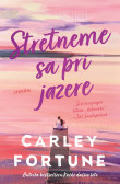 Stretneme sa pri jazere Stretneme sa pri jazere