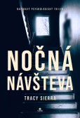 Nočná návšteva Nočná návšteva